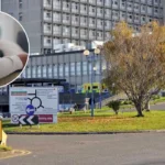 NHS Talking Therapies Opens to 16–17-Year-Olds in Ealing