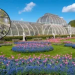 West London Thames Path Near Kew Gardens Reopens After Delay