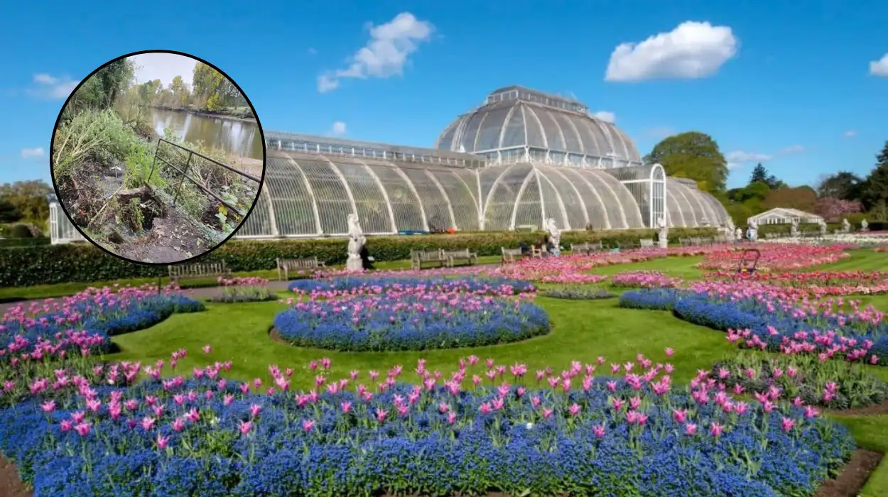 West London Thames Path Near Kew Gardens Reopens After Delay