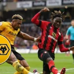 Fulham vs Wolves Preview: Relegation Battle in Premier League