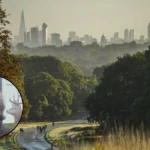 Richmond Park Threatened by Local Plan: Resident Seeks Legal Action