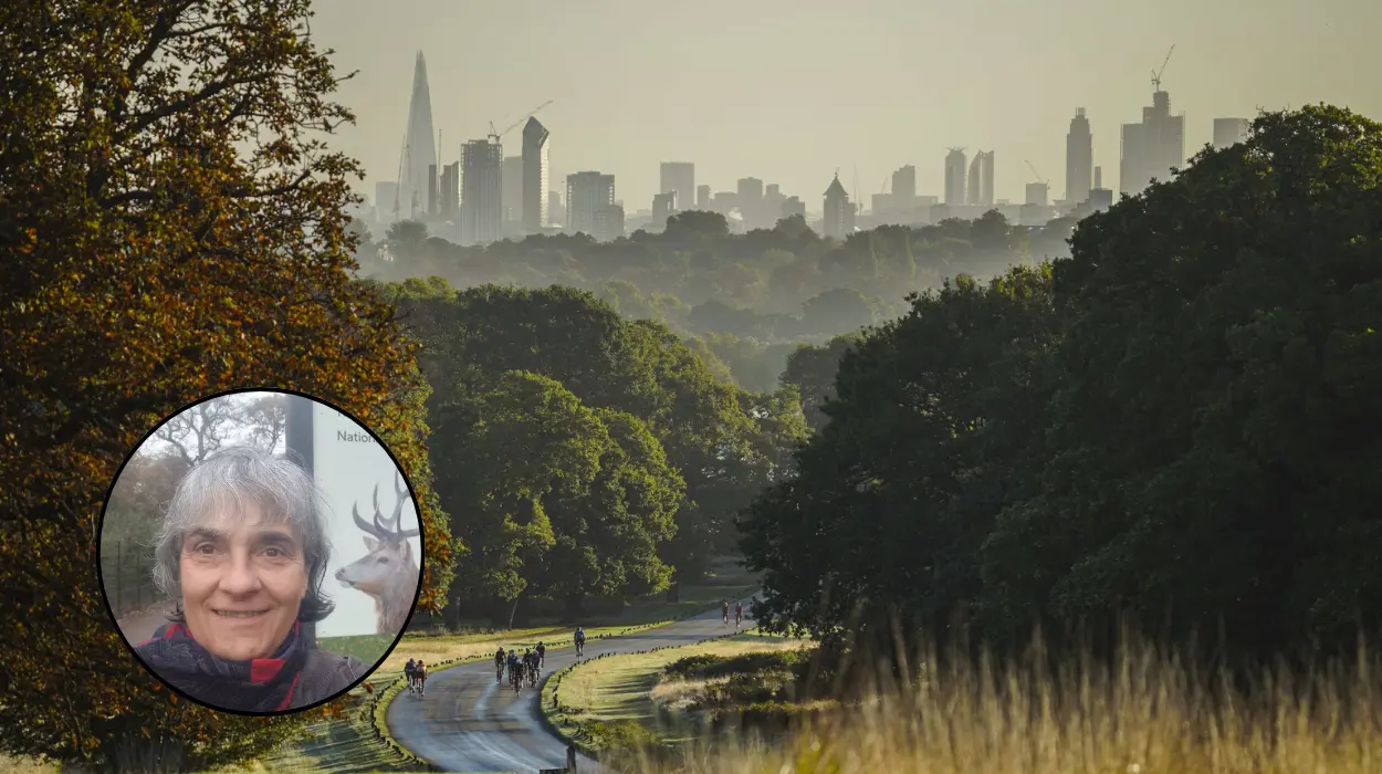 Richmond Park Threatened by Local Plan: Resident Seeks Legal Action