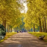 Best Parks in West London: Holland, Richmond & Gunnersbury Guide