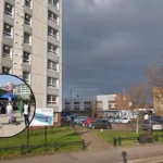 West London Councils: Ealing, Hounslow, Brent Guide