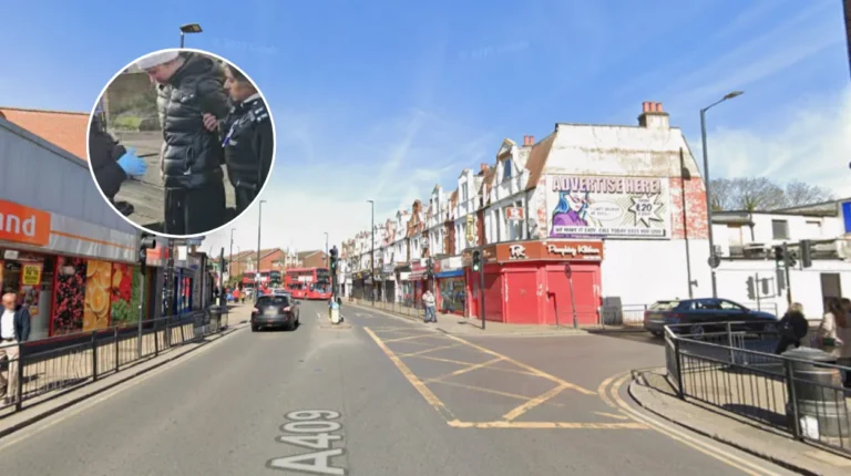 Harrow Woman Handcuffed by Police for Feeding Pigeons in Wealdstone