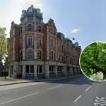 Richmond Council: 1,000 Free Trees 2026 Giveaway