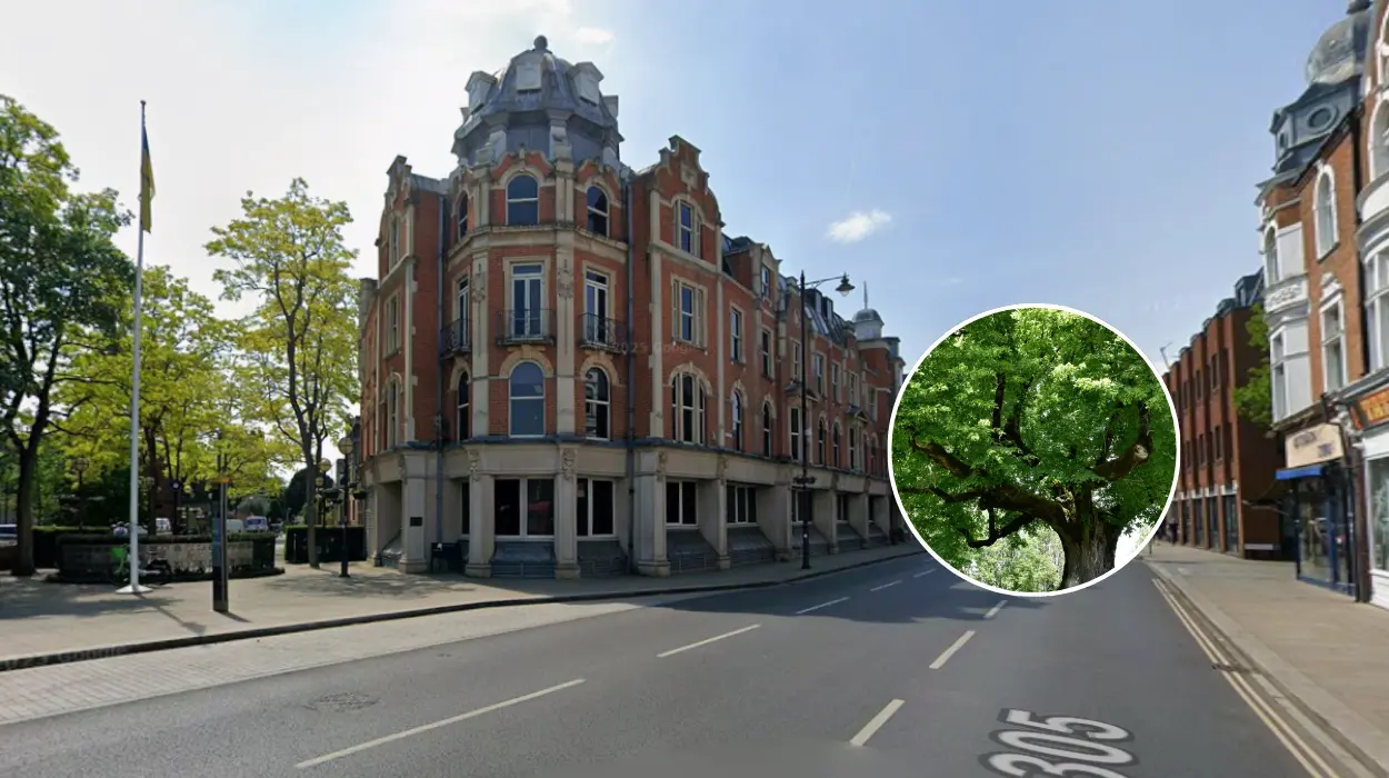 Richmond Council: 1,000 Free Trees 2026 Giveaway