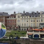 Sir David Attenborough’s Wild London film to screen in Richmond