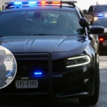 Woman Handcuffed And Fined £100 For Feeding Pigeons In Harrow