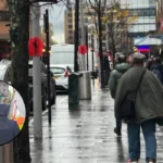 Woman Handcuffed And Fined In Harrow After Feeding Local Pigeons