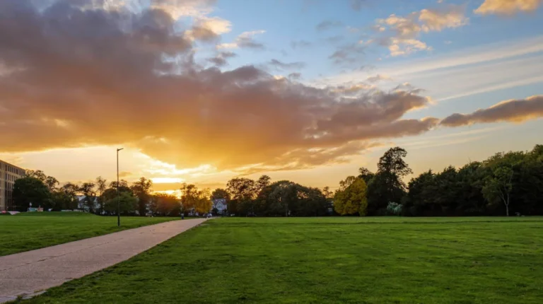 Weekend in Harlesden: 2-Day Food, Culture & Hidden Pubs Itinerary