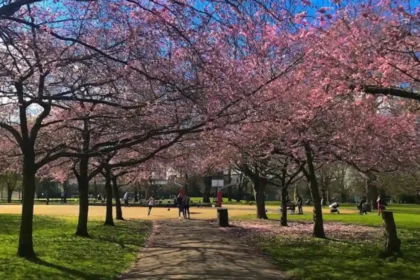 Free Things to Do in West London: Parks, Walks and Culture