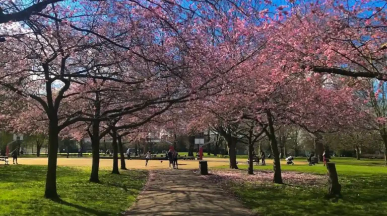 Free Things to Do in West London: Parks, Walks and Culture