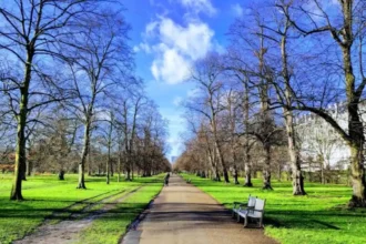 Pet-Friendly Places in West London: Parks, Cafés, Pubs and Walks