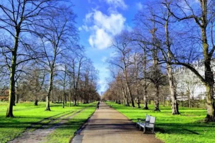 Pet-Friendly Places in West London: Parks, Cafés, Pubs and Walks