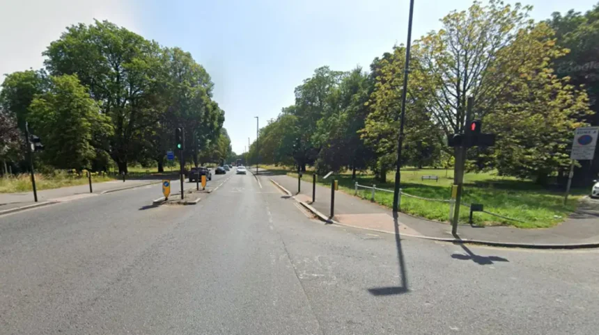 Alvin Gitahi Convicted of Partner Murder in Ealing 2026