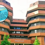 Ealing Council HMO Licensing Consultation 2026: Renewal Plan for Borough