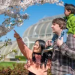 Family Activities in West London Best Days Out