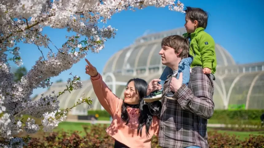 Family Activities in West London Best Days Out