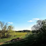 Human Bones Found in Bedfont Lakes Park Investigation: Hounslow 2026