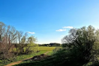 Human Bones Found in Bedfont Lakes Park Investigation: Hounslow 2026