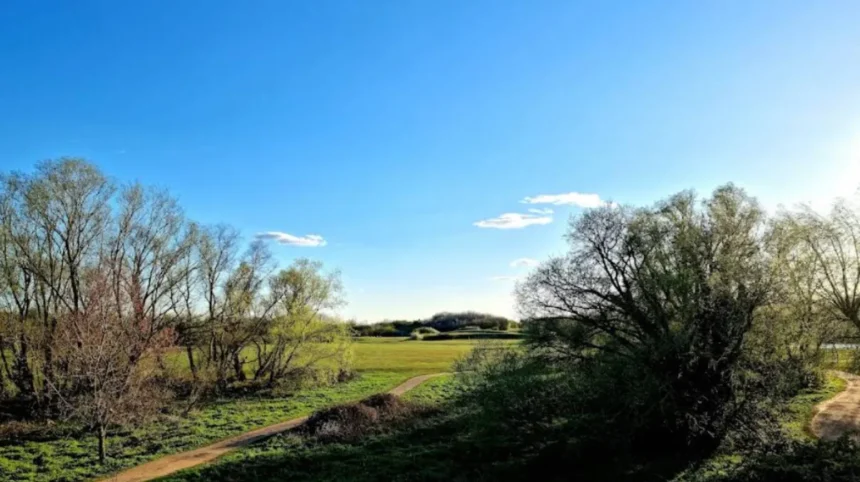 Human Bones Found in Bedfont Lakes Park Investigation: Hounslow 2026