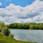 Human Bones Unearthed at Bedfont Lakes Country Park, Hounslow 2026