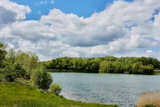Human Bones Unearthed at Bedfont Lakes Country Park, Hounslow 2026