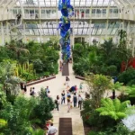 Parks and Green Spaces in West London: Complete Visitor and Resident Guide