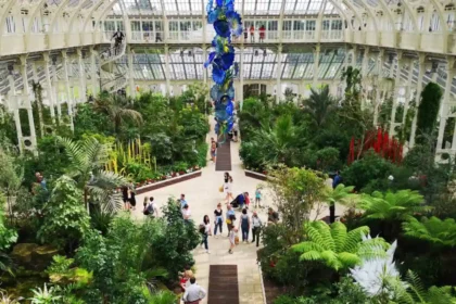 Parks and Green Spaces in West London: Complete Visitor and Resident Guide