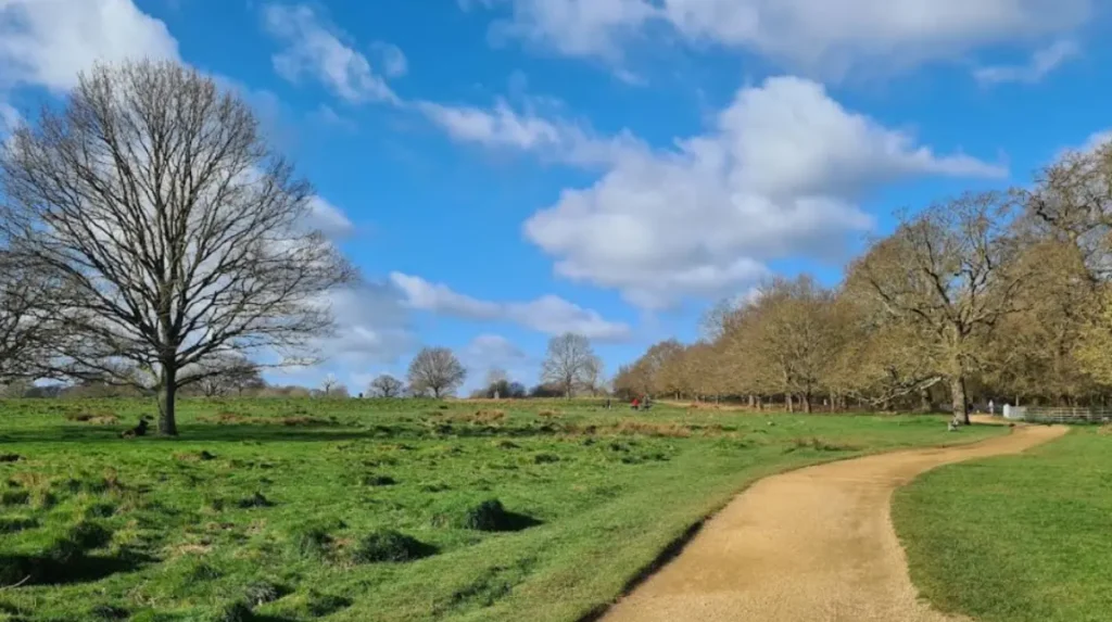 What are the main types of parks and green spaces in West London?