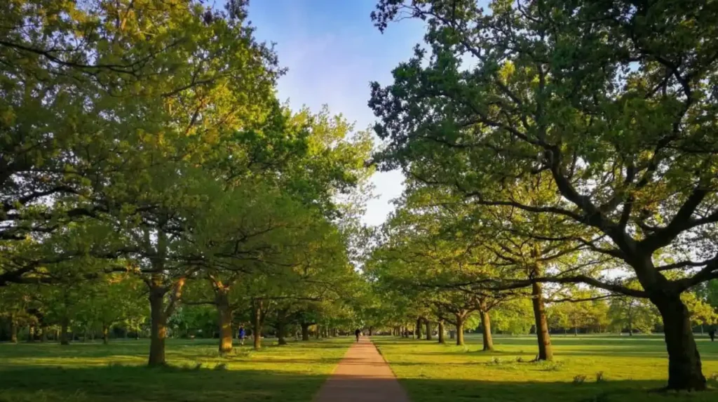 What are the main types of walking routes in West London?