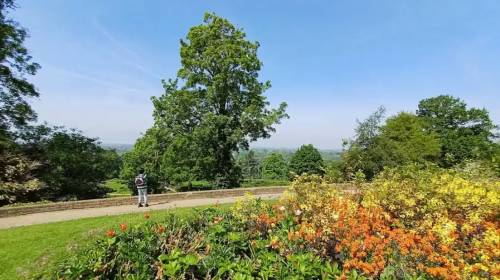 What biodiversity and conservation roles do West London parks serve?