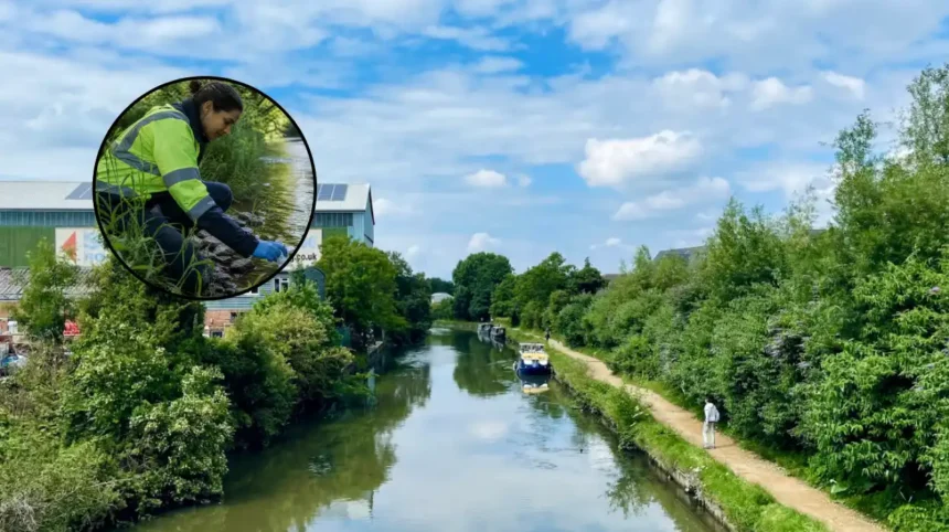 West London Sewage Trial Tackles River Brent Misconnections in 2026